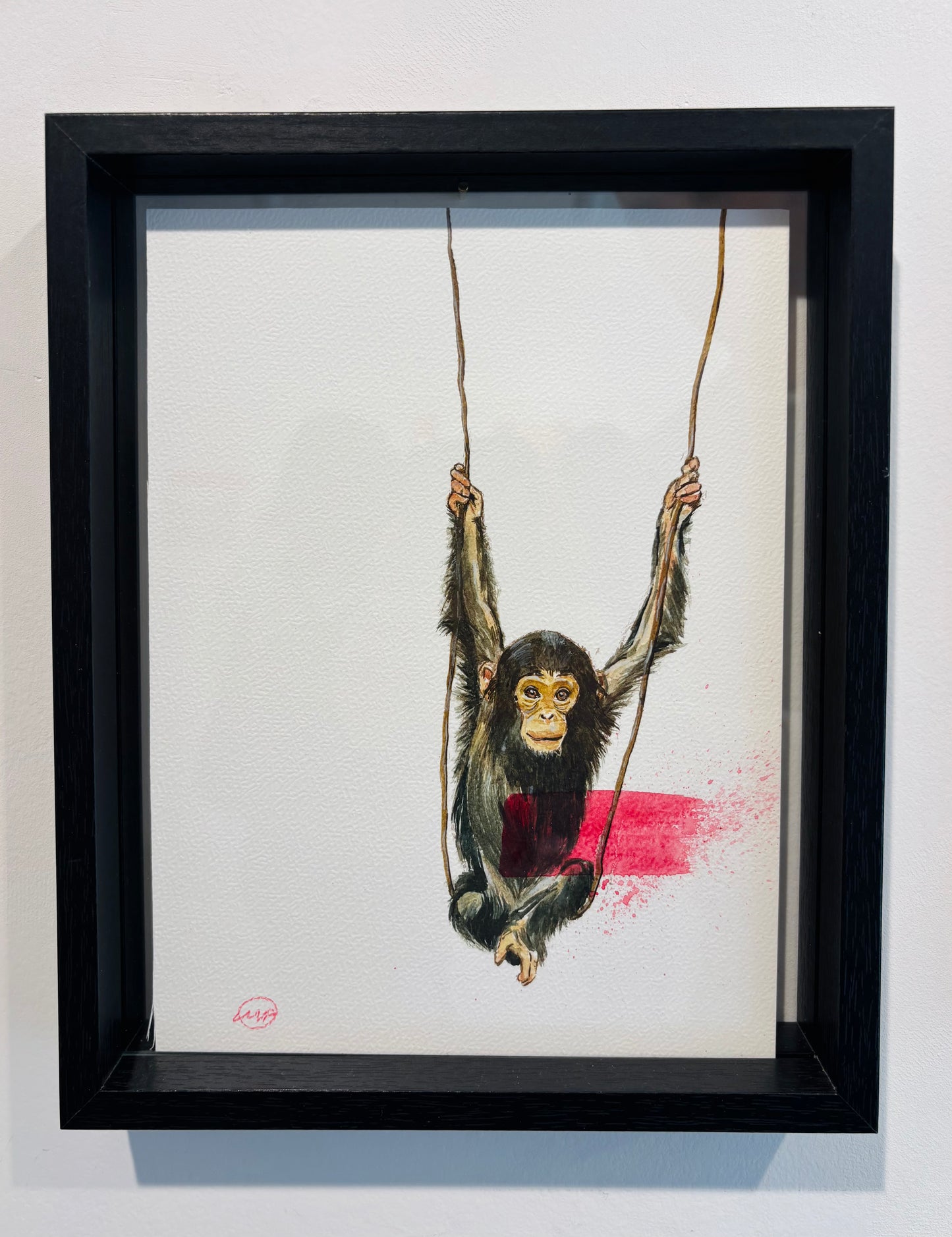 Monkey