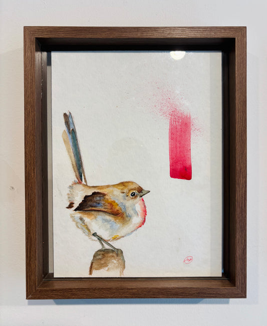 Robin