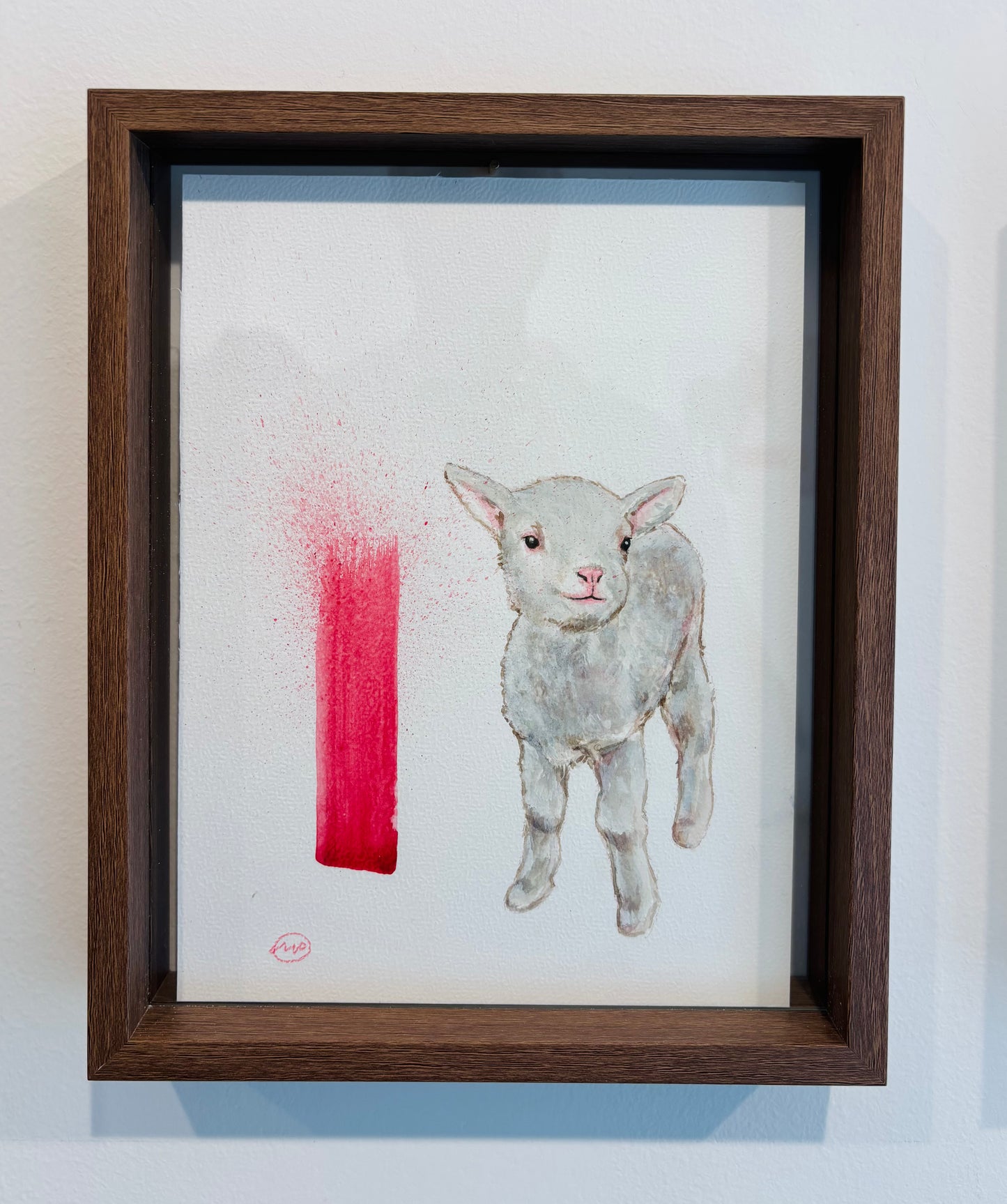 Baby sheep
