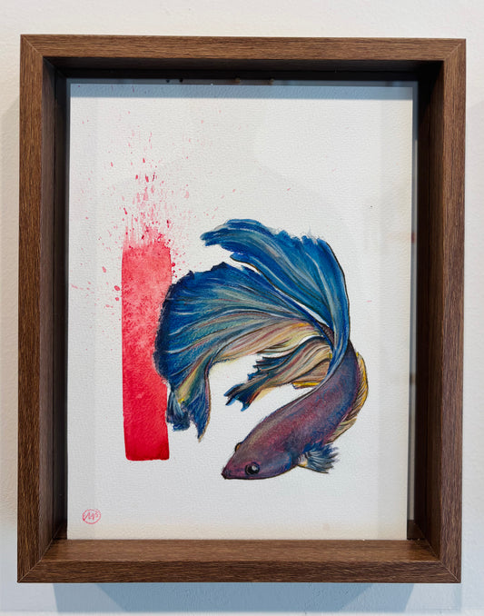 Fighting fish