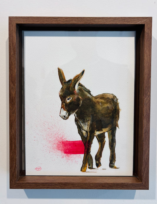 Donkey